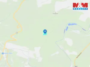 Prodej lesa, Nišovice, 14147 m2