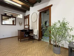 Pronájem komerční nemovitosti, Hlučín, Ostravská, 50 m2