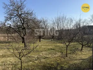 Prodej sadu/vinice, Miroslavské Knínice, 4555 m2