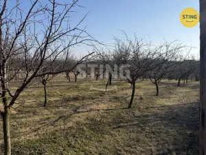 Prodej sadu/vinice, Miroslavské Knínice, 4555 m2