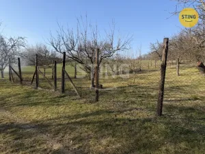 Prodej sadu/vinice, Miroslavské Knínice, 4555 m2