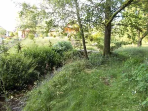 Prodej louky, Velký Šenov - Leopoldka, 3266 m2