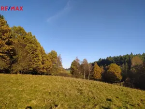 Prodej louky, Kynšperk nad Ohří, 20332 m2