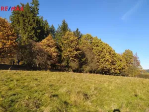 Prodej louky, Kynšperk nad Ohří, 20332 m2