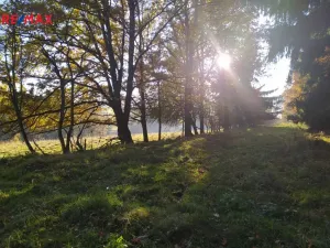Prodej louky, Kynšperk nad Ohří, 20332 m2
