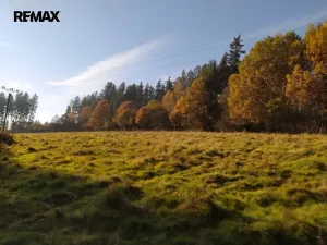 Prodej louky, Kynšperk nad Ohří, 20332 m2