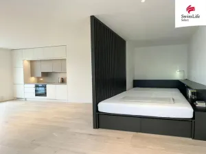 Pronájem bytu 1+kk, Plzeň, 41 m2