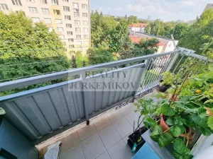 Pronájem pokoje, České Budějovice, Plzeňská, 12 m2