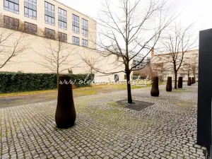 Pronájem bytu 2+kk, Praha - Karlín, Šaldova, 51 m2