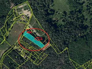 Prodej lesa, Stříbrnice, 2595 m2