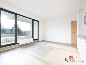 Prodej bytu 2+kk, Plzeň - Jižní Předměstí, Železná, 55 m2