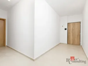 Prodej bytu 2+kk, Plzeň - Jižní Předměstí, Železná, 55 m2