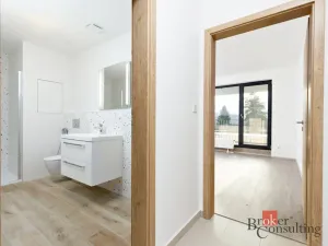 Prodej bytu 2+kk, Plzeň - Jižní Předměstí, Železná, 55 m2