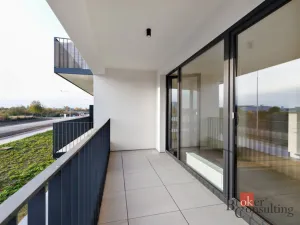 Prodej bytu 2+kk, Plzeň - Jižní Předměstí, Železná, 55 m2