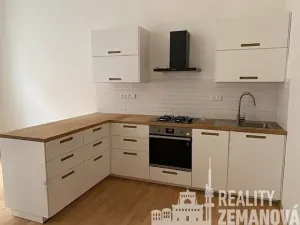 Pronájem bytu 3+kk, Praha - Vinohrady, Slezská, 73 m2