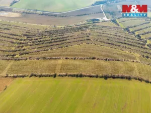Prodej pole, Morkůvky, 2424 m2