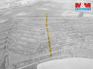 Prodej pole, Morkůvky, 2424 m2