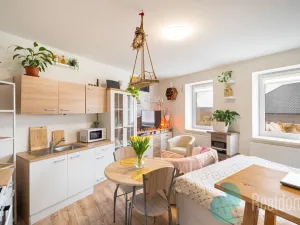 Prodej bytu 1+kk, Ševětín, náměstí Šimona Lomnického, 33 m2