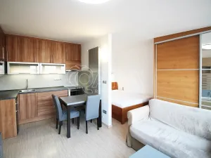 Pronájem bytu 1+kk, Praha - Holešovice, U průhonu, 31 m2