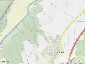 Prodej pole, Bakov nad Jizerou - Chudoplesy, 719 m2