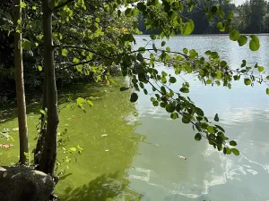 Prodej rodinného domu, Hrusice, K Penzionu, 360 m2