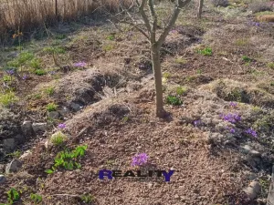 Pronájem zahrady, Kryry, 367 m2