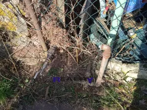 Pronájem zahrady, Kryry, 367 m2