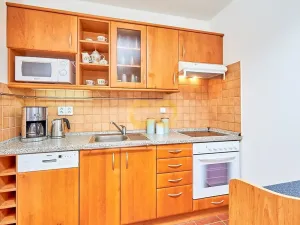 Prodej bytu 1+kk, Horní Planá, Jenišov, 43 m2