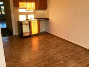 Pronájem bytu 2+kk, Praha - Vysočany, Freyova, 49 m2