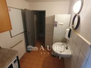 Pronájem obchodního prostoru, Rakovník, Dukel. hrdinů, 412 m2