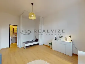 Pronájem bytu 2+kk, České Budějovice, J. Plachty, 50 m2