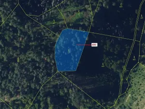 Dražba lesa, Žďárec, 2813 m2