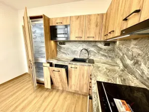 Pronájem bytu 1+1, Ostrava - Hrabůvka, Dr. Martínka, 37 m2