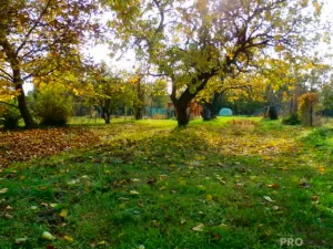 Prodej zahrady, Znojmo, 1330 m2