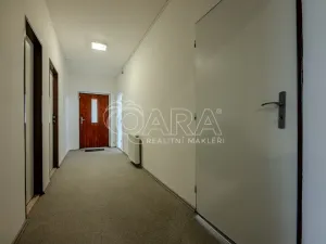 Pronájem obchodního prostoru, Vestec, Vestecká, 252 m2