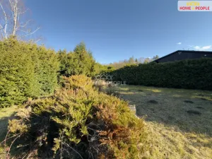 Prodej chaty, Krňany - Třebsín, 30 m2