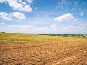 Prodej komerčního pozemku, Dolní Kralovice, 10347 m2