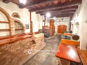 Prodej - jiné, Znojmo - Konice, 98 m2