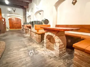 Prodej - jiné, Znojmo - Konice, 98 m2