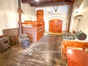 Prodej - jiné, Znojmo - Konice, 98 m2