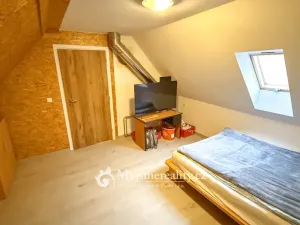 Prodej - jiné, Znojmo - Konice, 98 m2