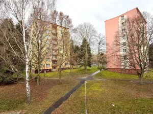 Pronájem bytu 1+1, Cheb, Stavbařů, 37 m2