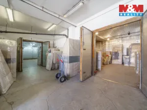 Prodej obchodního prostoru, Teplice, Libušina, 760 m2