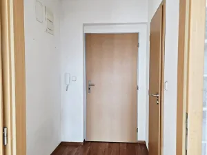Pronájem bytu 1+kk, Brno, Rajhradská, 24 m2
