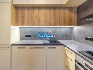 Pronájem bytu 2+kk, Olomouc, Třída Jiřího Pelikána, 59 m2