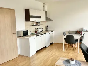 Pronájem bytu 1+kk, Brno, Košinova, 38 m2