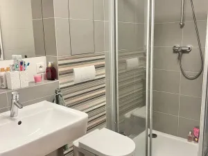 Pronájem bytu 1+kk, Brno, Košinova, 38 m2