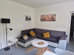 Prodej bytu 2+1, Sedloňov, 53 m2