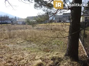 Prodej pozemku pro bydlení, Vrbno pod Pradědem - Mnichov, 3169 m2