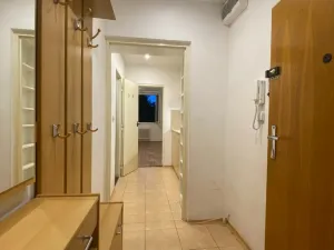 Pronájem bytu 1+kk, Brno - Královo Pole, Herčíkova, 29 m2